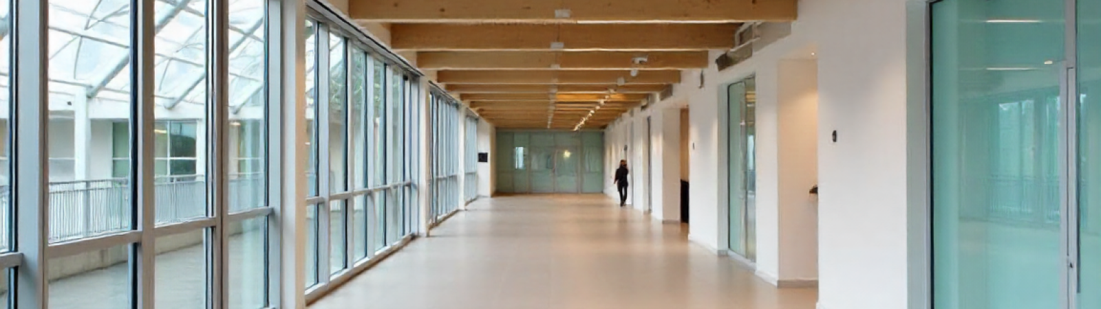 Projetos De Reabilitação De Obras: Exemplos Inspiradores De Consultoria